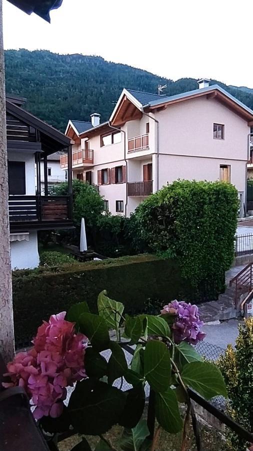 Green House Nest Levico Levico Terme Exterior foto